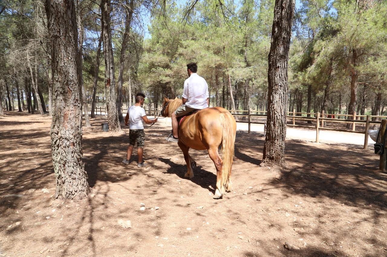 Masseria Chinunno Altamura Dış mekan fotoğraf